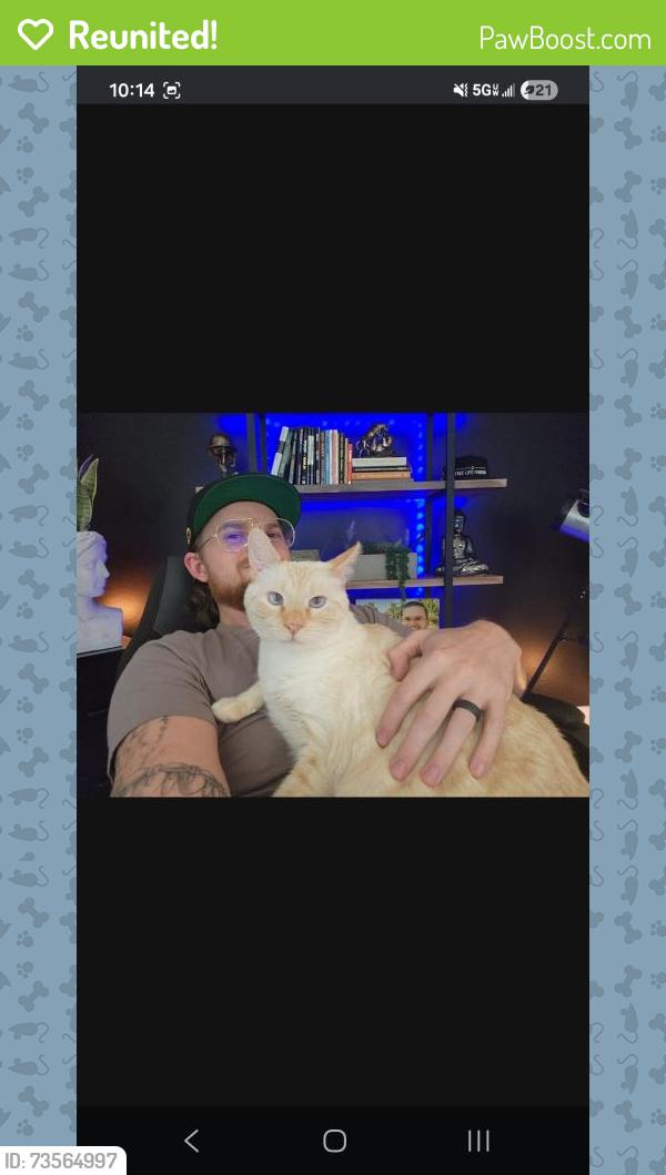 Reunited Male Cat last seen Laurel Cove, Scenic Falls of Braselton, Hoschton, GA 30548