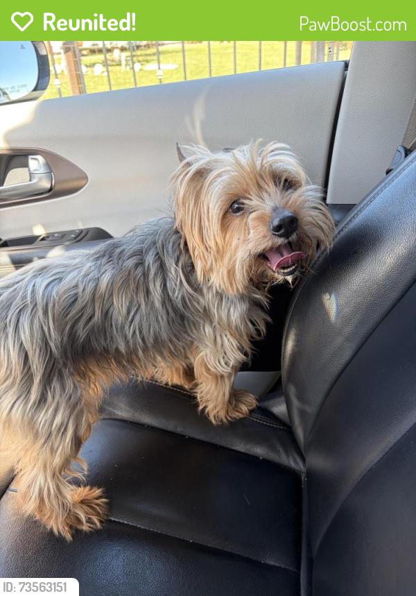 Reunited Male Dog last seen Greenback and diablo, Citrus Heights, CA 95621