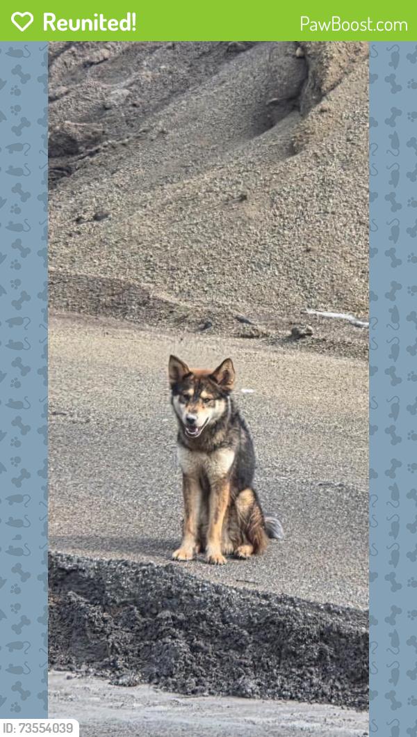Reunited Male Dog last seen Hershberger and Walmart Plantation, Roanoke, VA 24019