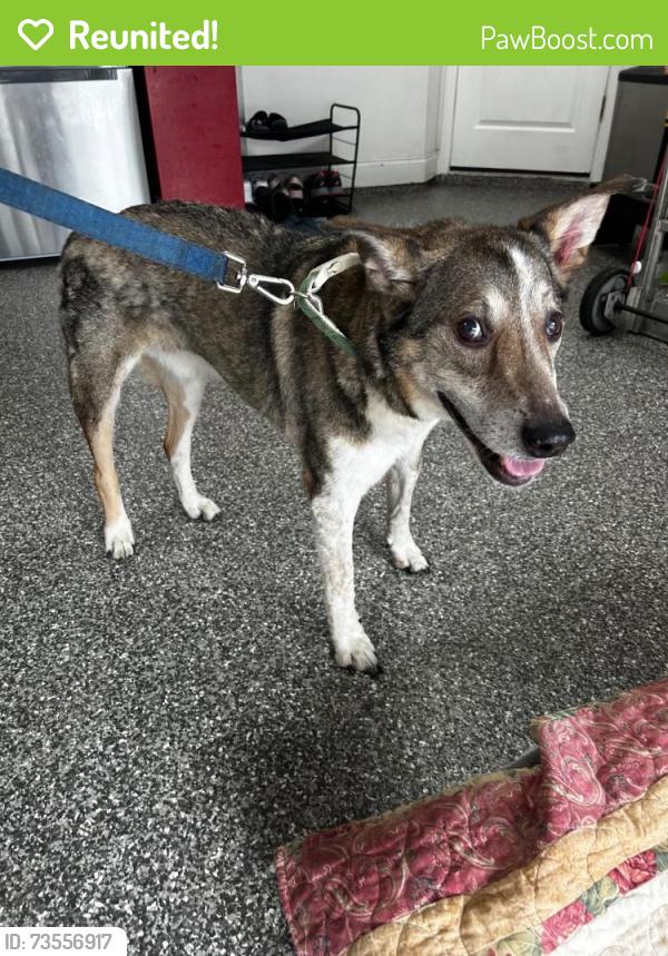 Reunited Unknown Dog last seen SR 46, Sanford, FL 32771