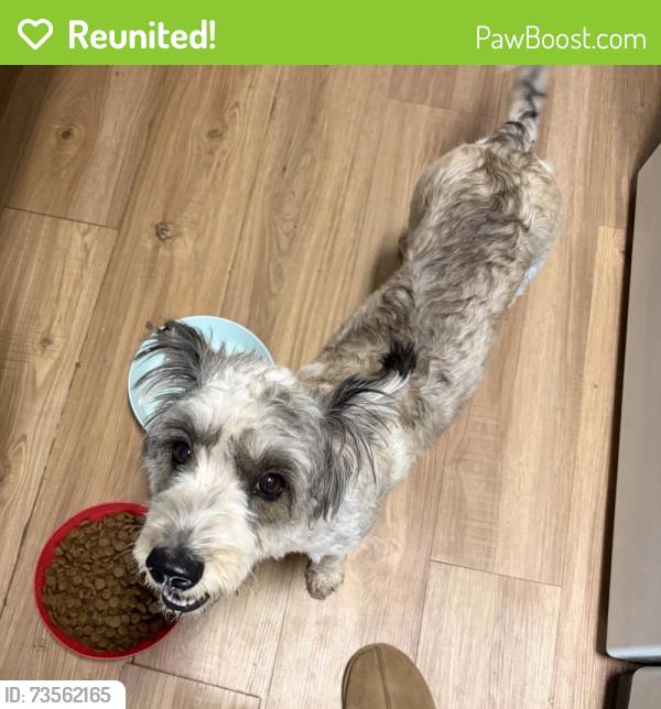 Reunited Female Dog last seen Water street, Weatherford, TX 76086