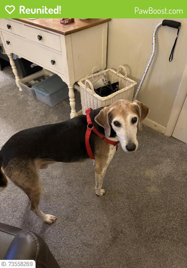 Reunited Male Dog last seen Osborne road Winston Salem McDonald’s, Winston-Salem, NC 27103