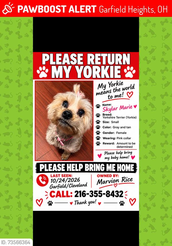 Lost Female Dog last seen Garfield Heights by a park seen by some kids, Garfield Heights, OH 44125