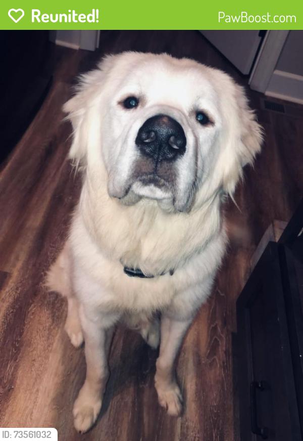 Reunited Male Dog last seen Stoney Creek Walking Trails, Guilford County, NC 27377