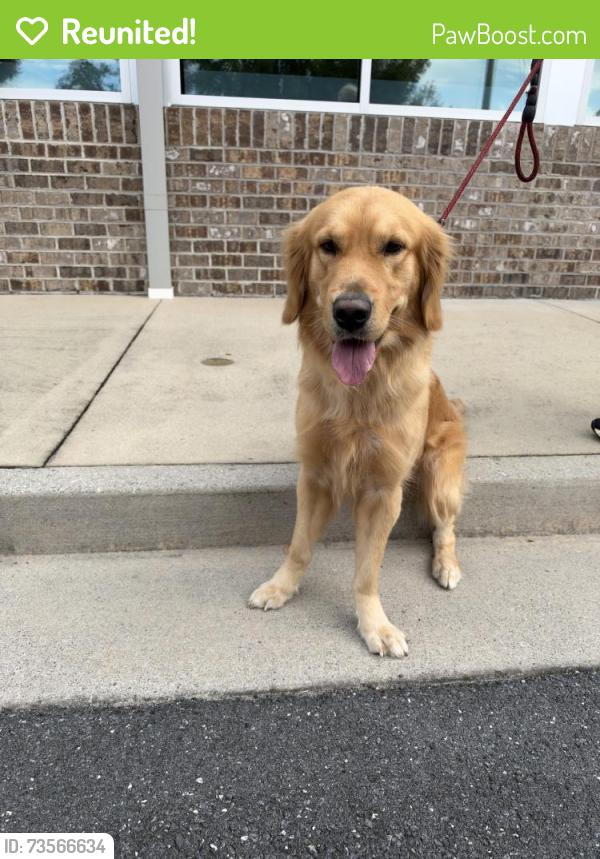 Reunited Male Dog last seen S Grade Dr, Dalton, GA 30721, USA, Dalton, GA 30721