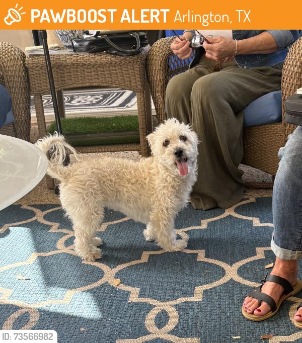 Found/Stray Female Dog last seen Corner of I30 and Fielder Rd., Arlington, TX 76012