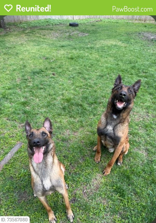 Reunited Male Dog last seen Stanwich Road, Greenwich, Greenwich, CT 06831