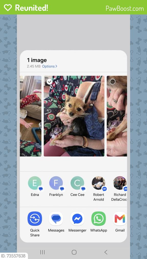 Reunited Female Dog last seen Spring lake road, Waterbury, CT 06706
