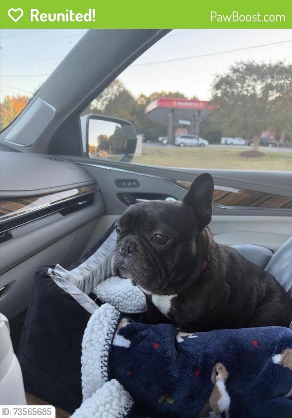 Reunited Male Dog last seen Son Shine Daycare Midway, Nc, Winston-Salem, NC 27107