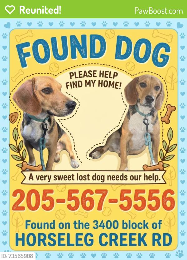 Reunited Male Dog last seen Horseleg Creek Rd, Rome, GA 30165
