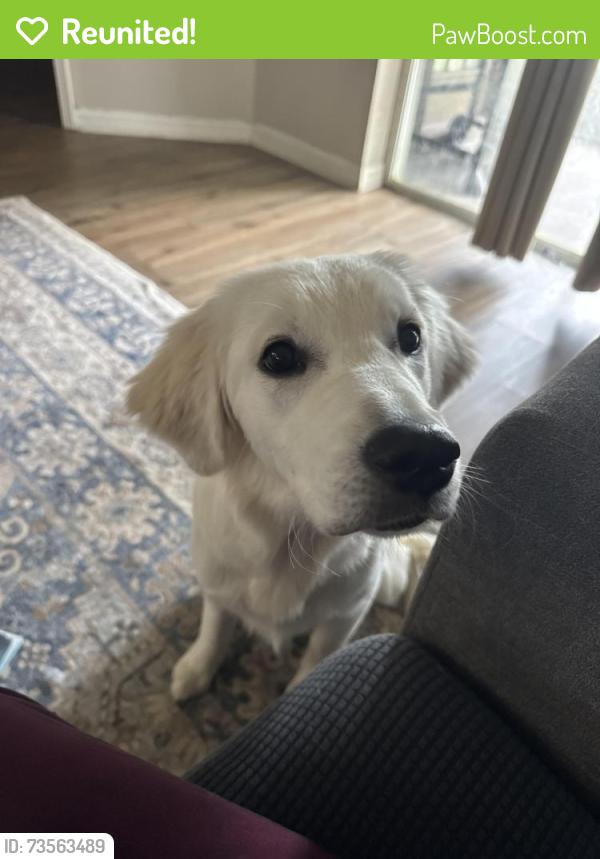 Reunited Female Dog last seen Abbey Dr, Dade City, FL 33525