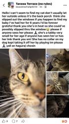 Reunited Female Cat last seen Near Chosin Cir, Tarawa Terrace, NC 28543, USA, Jacksonville, NC 28543