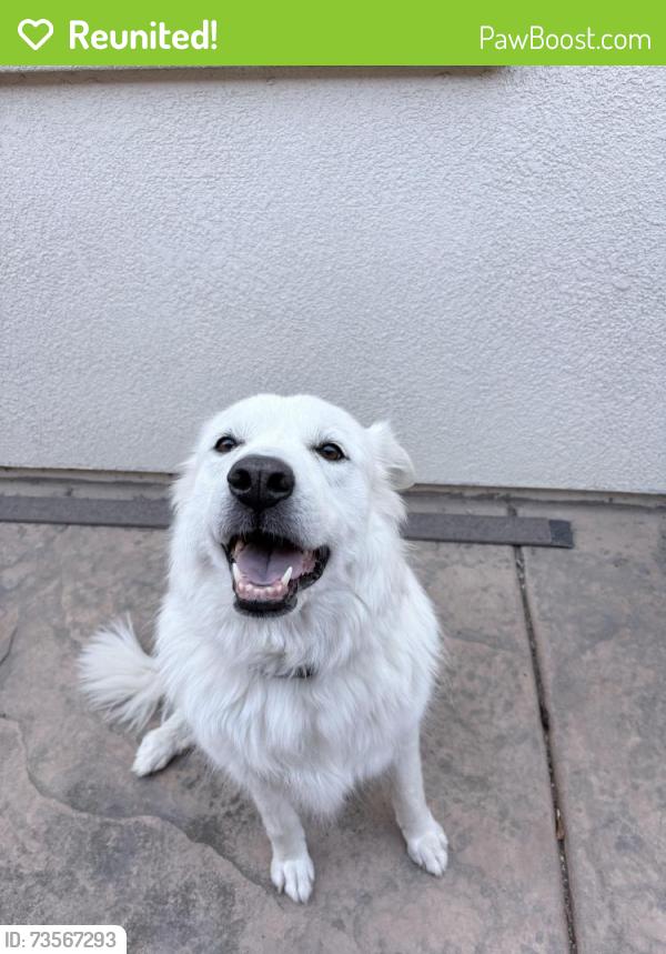 Reunited Unknown Dog last seen Vineyard Road and Wingspan Way, Vineyard, CA 95829