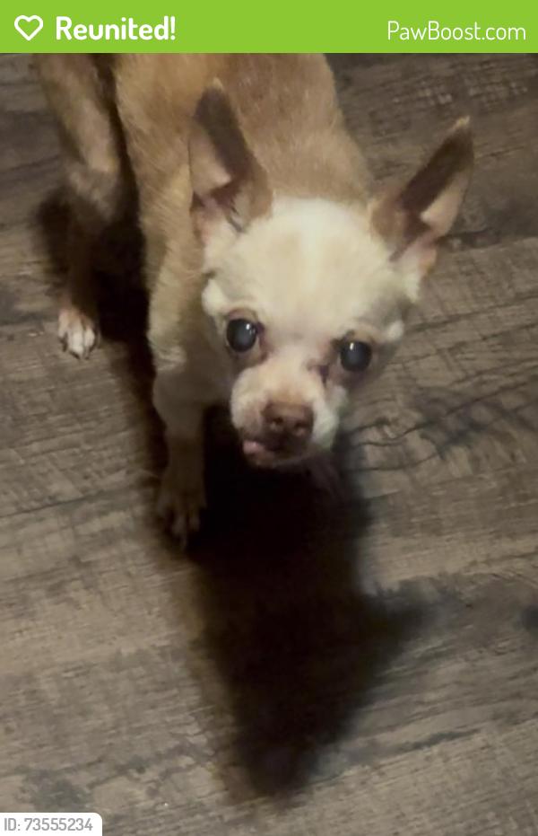 Reunited Male Dog last seen Near Gunter st in or out of lupine terrace apmts, Austin, TX 78721