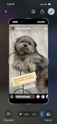 Lost Female Dog last seen Near Hillcrest ST, Mesquite, TX 75149