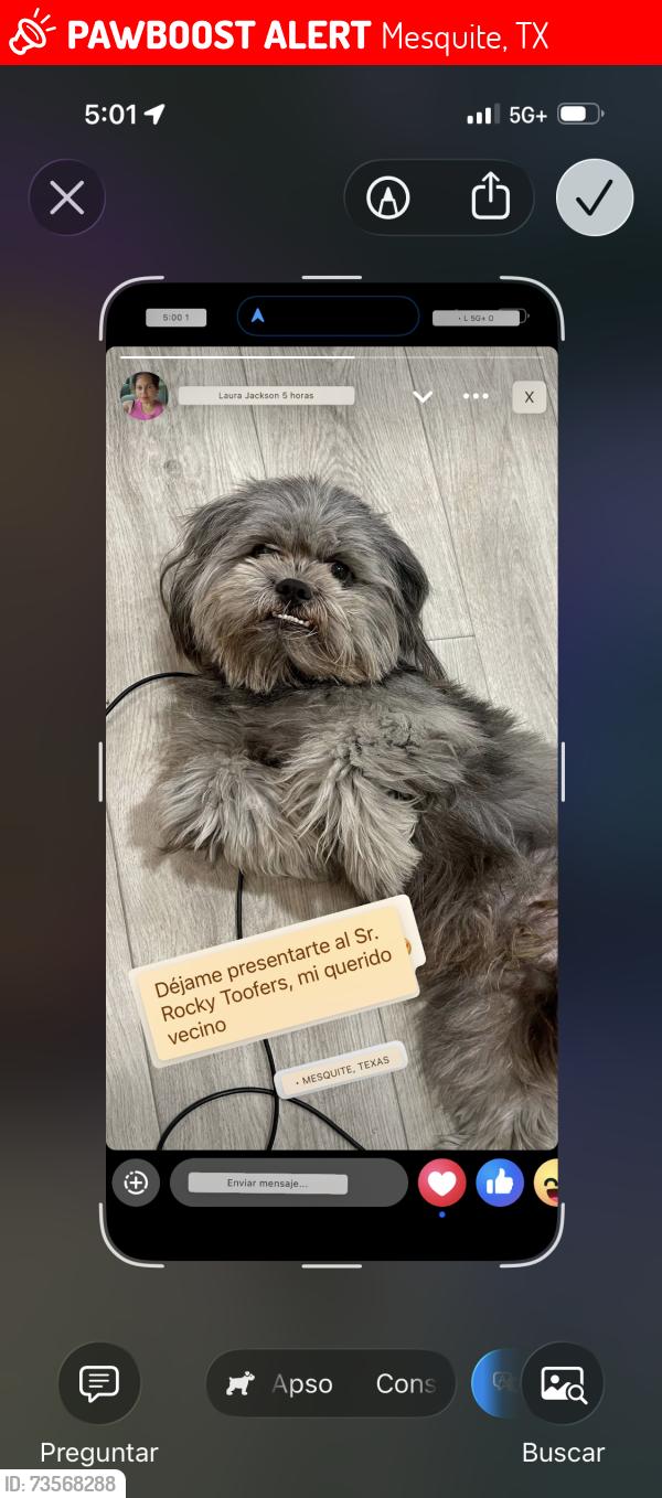 Lost Female Dog last seen Near Hillcrest ST, Mesquite, TX 75149