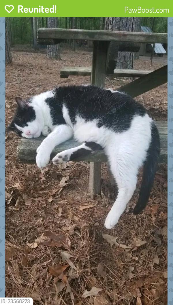 Reunited Male Cat last seen Cypress Creek, Pinetops, Edgecombe County, NC 27864