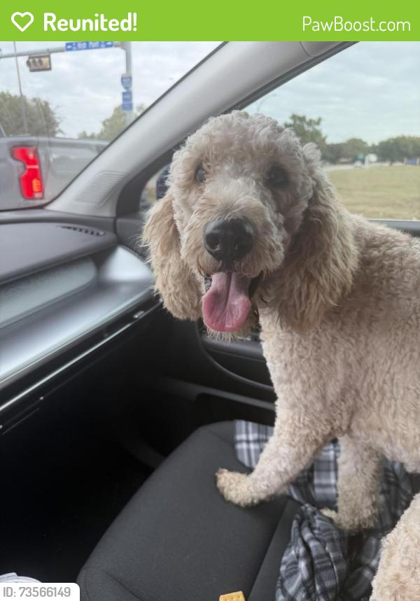 Reunited Male Dog last seen Near W Arbrook Blvd, Arlington, TX 76015, USA, Arlington, TX 76015