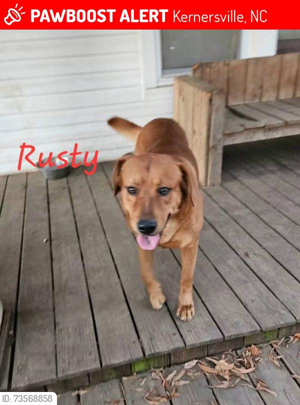 Lost Male Dog last seen Triad Park, Kernersville, NC 27284