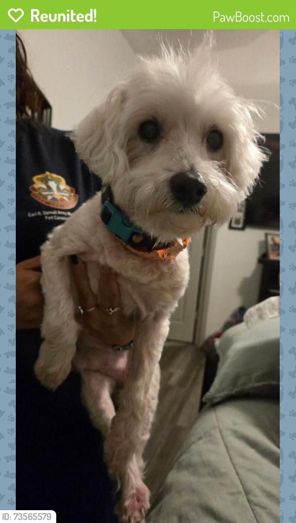 Reunited Male Dog last seen Cassidy near Hickok, Killeen, TX 76542