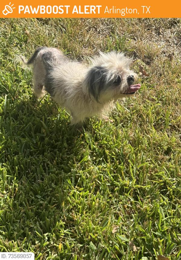 Found/Stray Female Dog last seen Green oaks, Arlington, TX 76017