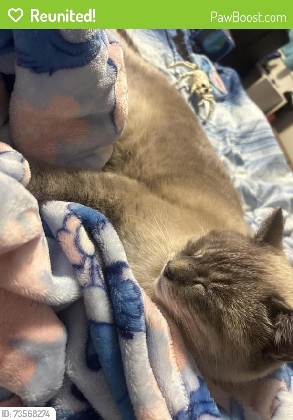 Reunited Male Cat last seen Beacon woods neighborhood, Hudson, FL 34667