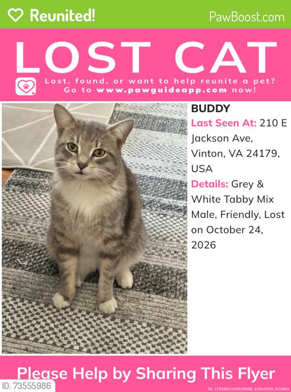 Reunited Male Cat last seen Near E Jackson Ave, Vinton, VA 24179, USA, Vinton, VA 24179