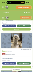 Lost Male Dog last seen Around covell Edmond, Edmond, OK 73034