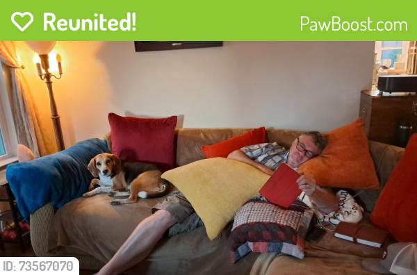 Reunited Male Dog last seen Stoneridge Subdivision, Gibsonville, NC 27244