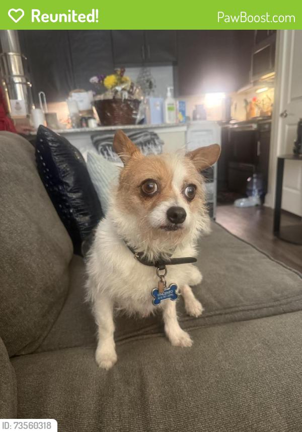 Reunited Male Dog last seen Valle verde, Leander, TX 78641