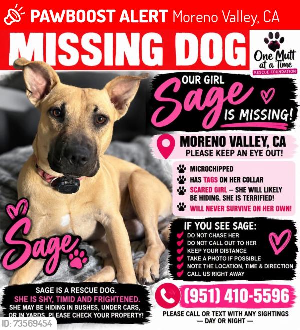 Lost Female Dog last seen Moreno Valley Mall, Moreno Valley, CA 92553
