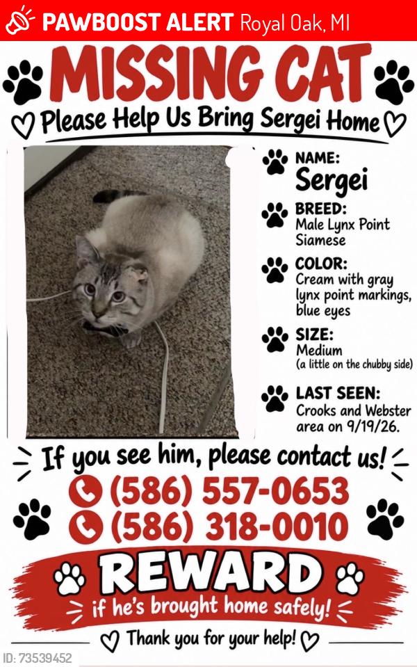 Lost Male Cat last seen Crooks and Webster area, Royal Oak, MI 48073