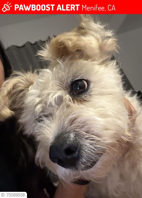 Lost Female Dog last seen menifee rd, Menifee, CA 92584
