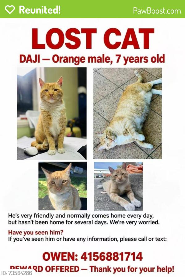 Reunited Male Cat last seen Near Harbor Way, South San Francisco, CA 94080
