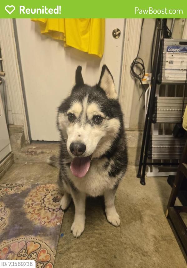 Reunited Unknown Dog last seen Siebecker school, South San Francisco, CA 94080