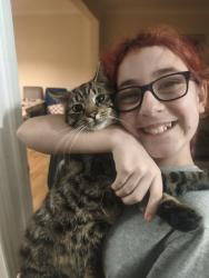 Reunited Male Cat last seen luton n and Dunstable hosp and tessco, Luton, England LU4 0JA