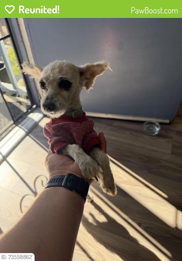 Reunited Male Dog last seen Hearthsong Dr & W Atherton Dr, Manteca, CA 95337