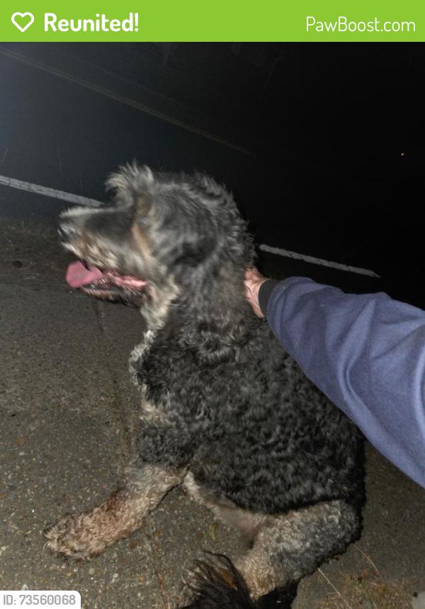 Reunited Unknown Dog last seen Sharon bass & Beach Rd, Hampton, VA 23664