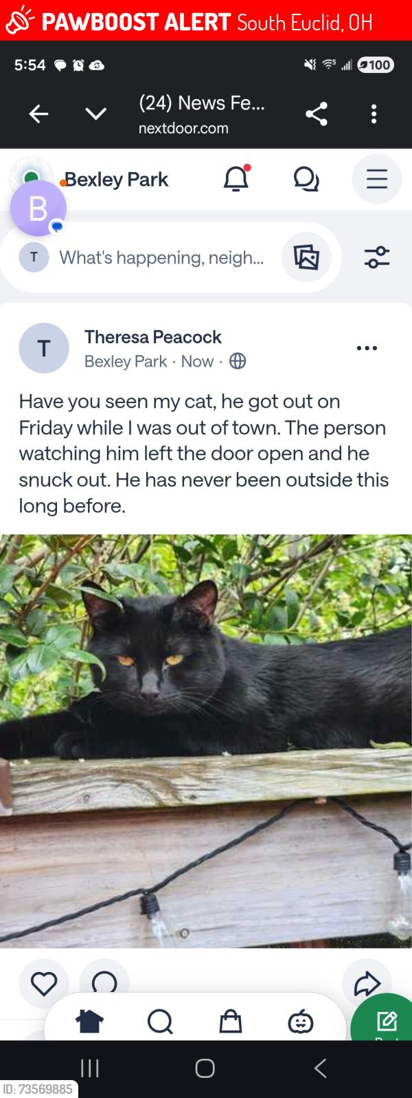 Lost Male Cat last seen Bexley, South Euclid, OH 44121