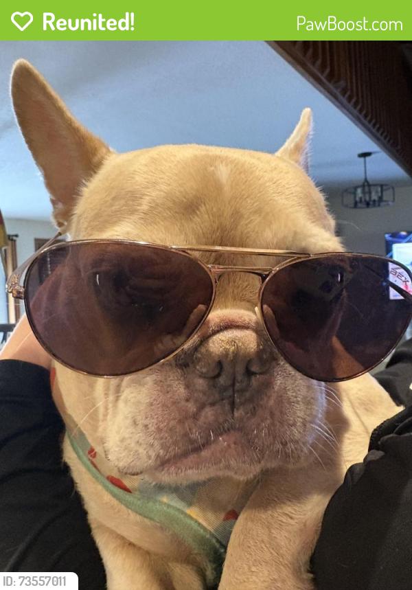 Reunited Female Dog last seen Shaw, Rogers, TX 76569