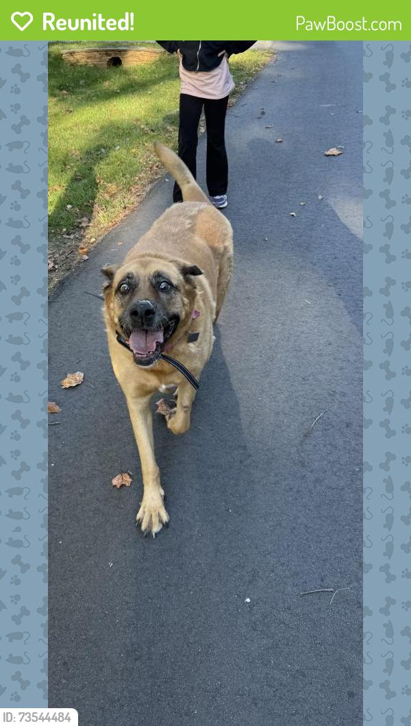 Reunited Unknown Dog last seen Strawberry Rd., Summerfield, NC 27358
