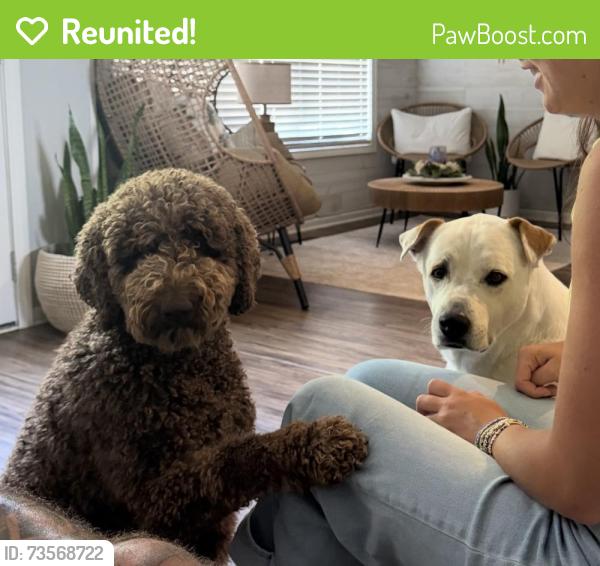Reunited Male Dog last seen Lora Smith, Newnan, GA 30265