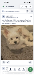 Reunited Female Dog last seen Peachtree Lane and Hilltop, Pantego, TX 76013