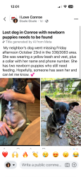 Lost Female Dog last seen Conroe, Texas 336/3083, Conroe, TX 77301