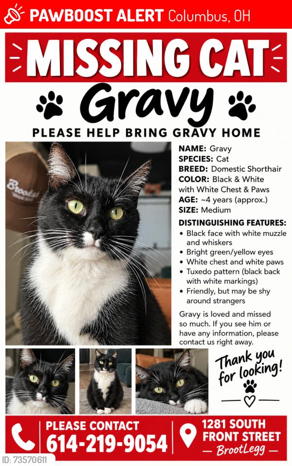 Lost Male Cat last seen South Front Street & West Moler Street, Columbus, OH 43206