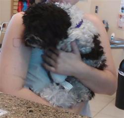 Shelter Stray Female Dog last seen CYPRESS PRESERVE, 19640 Dogpatch Ln, Land O' Lakes, FL 34638, USA