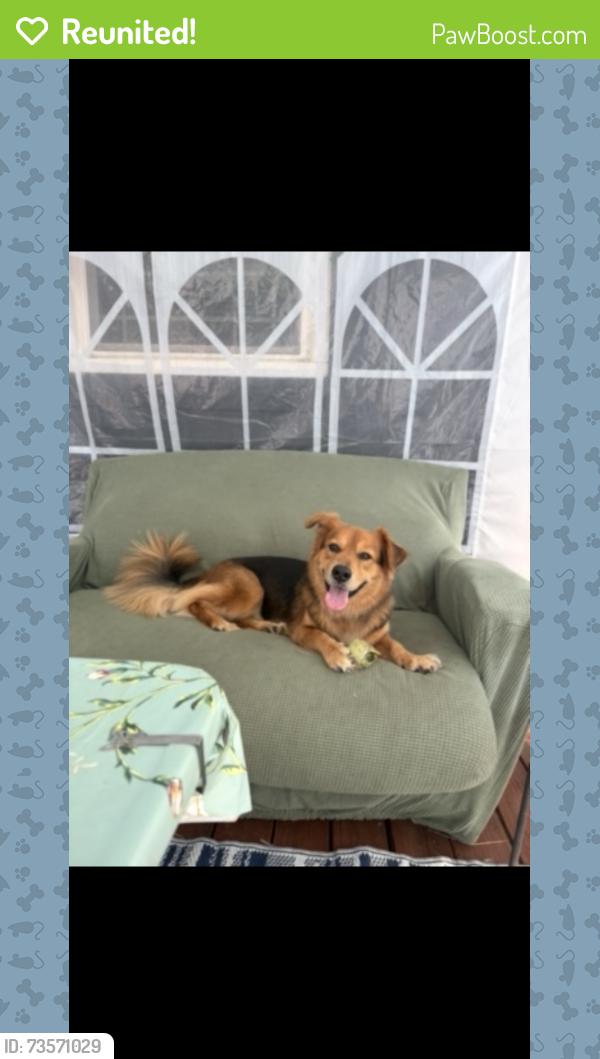 Reunited Male Dog last seen Brennan rd, Atlanta, GA 30316