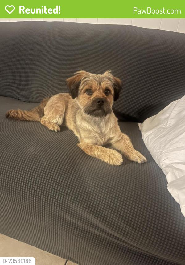 Reunited Male Dog last seen Near Stanton hill rd Castro valley, Castro Valley, CA 94546