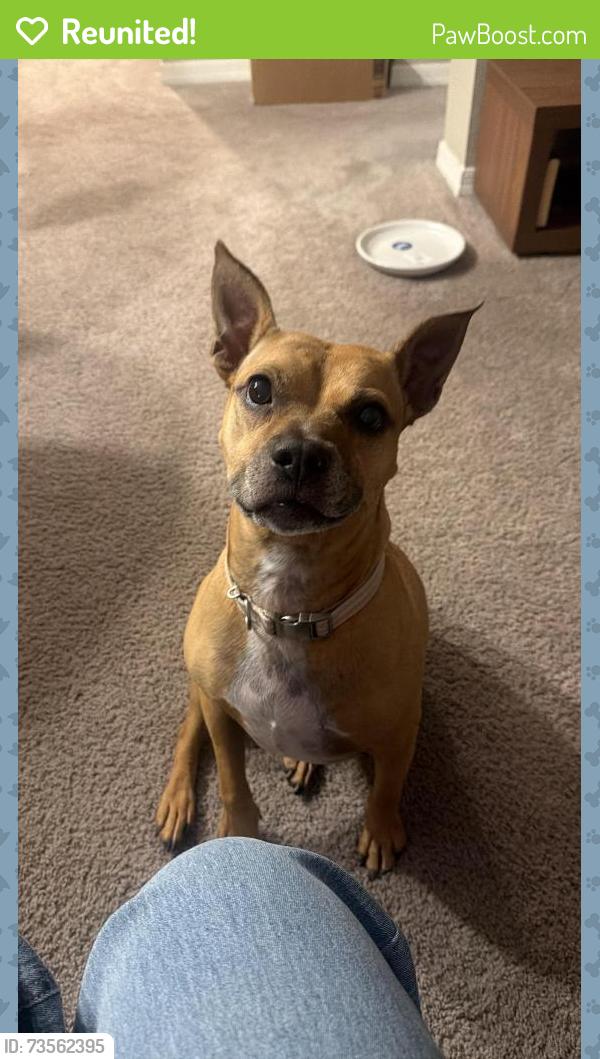 Reunited Female Dog last seen Near nw 47th, Ocala, FL 34482