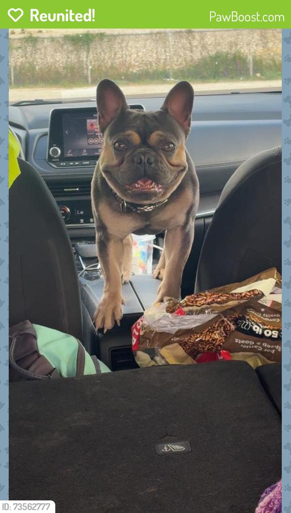 Reunited Male Dog last seen Near DPS office, Cleburne, TX 76033